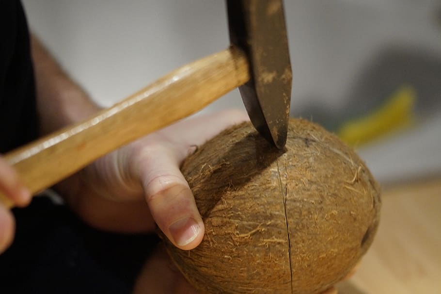 coconut, open coconut, open, hammer, to breaking point, breaking point, coconut shell, shell, hard, human hand
