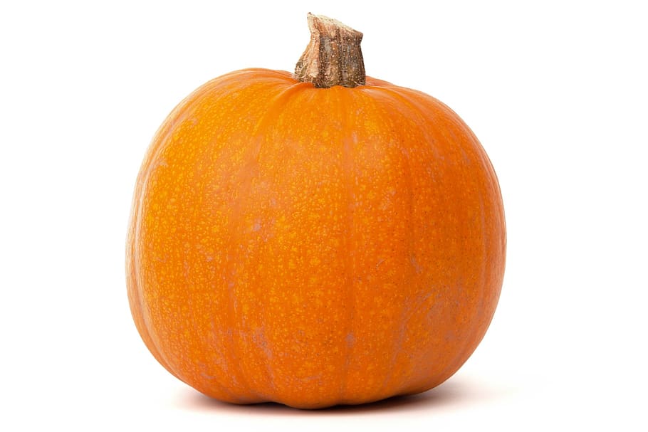 calabaza naranja, otoño, alimentos, fresco, calabaza, halloween, cosecha, aislado, octubre, naranja