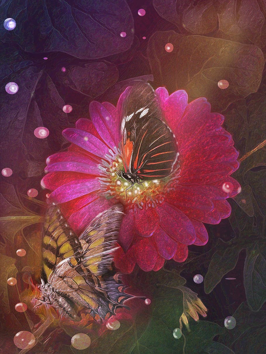 illustration, butterflies, flowers, spring, map, design, fantasy, nature, orange, purple