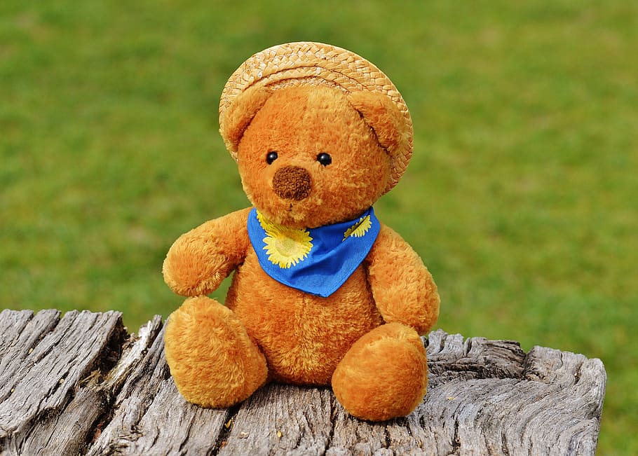 beruang, teddy, mainan lunak, boneka binatang, boneka beruang, beruang coklat, anak-anak, hewan, boneka beruang berbulu, mainan anak-anak