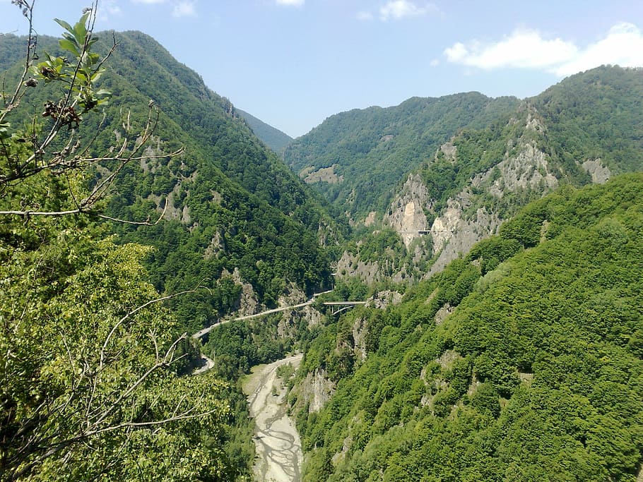 Mountain, Romania, Transfagarasan, green color, tree, scenics, nature, lush foliage, plant, scenics - nature