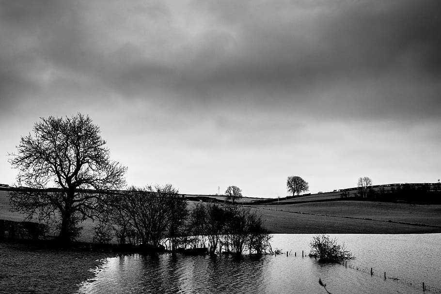 moody, landscape, sky, clouds, weather, trees, field, valley, pond, horizon