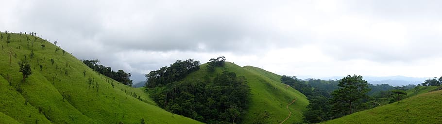 ta nang hill, ta nang, colina, nube - cielo, árbol, medio ambiente, tierra, planta, paisajes - naturaleza, bosque