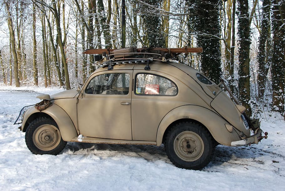 parked, gray, volkswagen beetle coupe, forest trees, car, vintage, antique, old, ski, winter