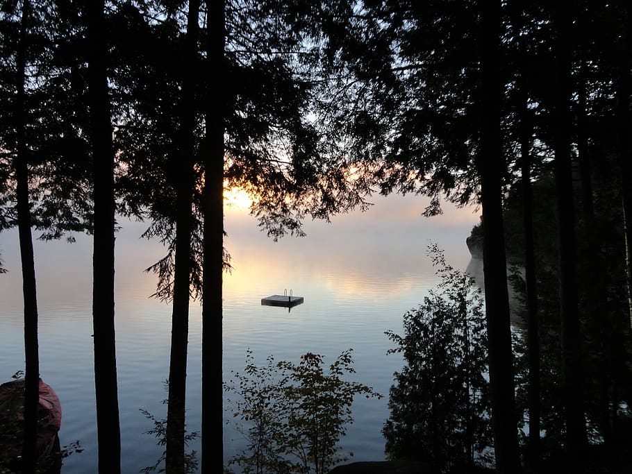 adirondacks, upper saranac lake, dawn, tree, plant, water, beauty in nature, tranquil scene, tranquility, scenics - nature