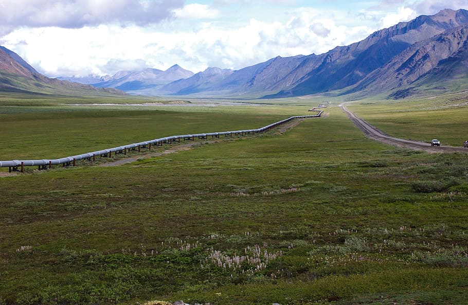 Alaskan Pipeline, roadand, grass, field, sky, environment, landscape, mountain, cloud - sky, scenics - nature