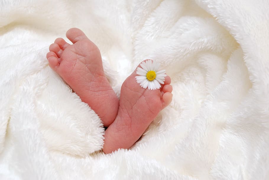 person, feet, white, daisy, left, foot, baby, birth, child, gift