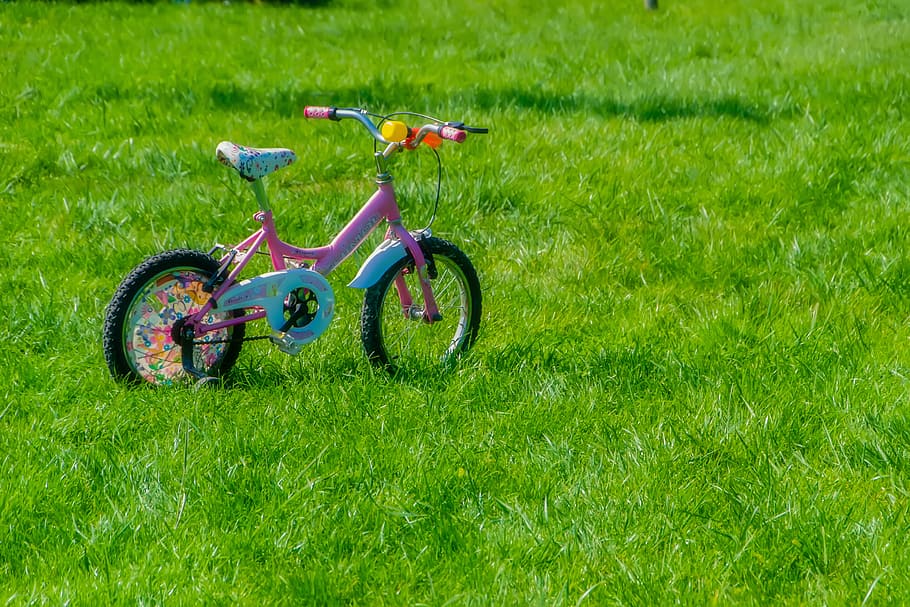 pink, teal bike, grasss, bicycle, child, baby, kids bike, pink bike, background, grass