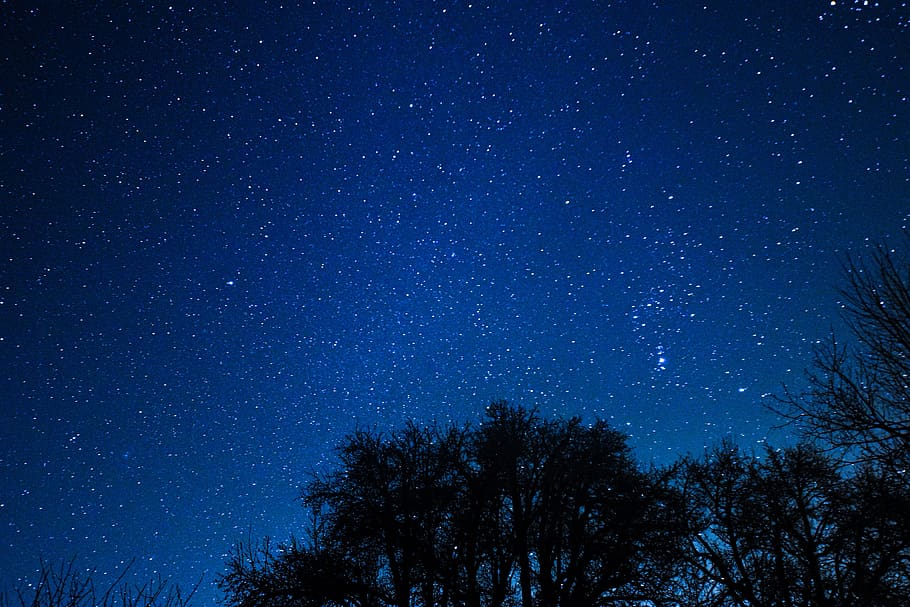 cielo estrellado, estrella, noche, universo, cielo, cielo nocturno, fondo,  galaxia, astronomía, vía láctea | Pxfuel