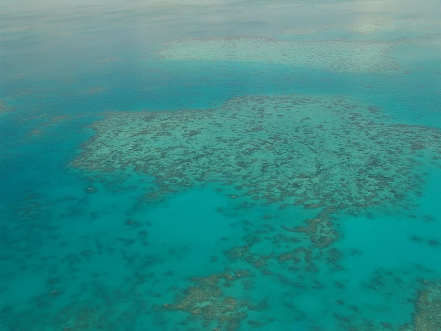 body, water, daytime, Great Barrier Reef, Diving, Coral, Ocean, pacific, aerial view, sea