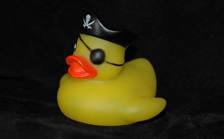 yellow, plastic duck toy, wearing, pirate cap, black, surface, rubber duck, bath duck, squeak duck, duck