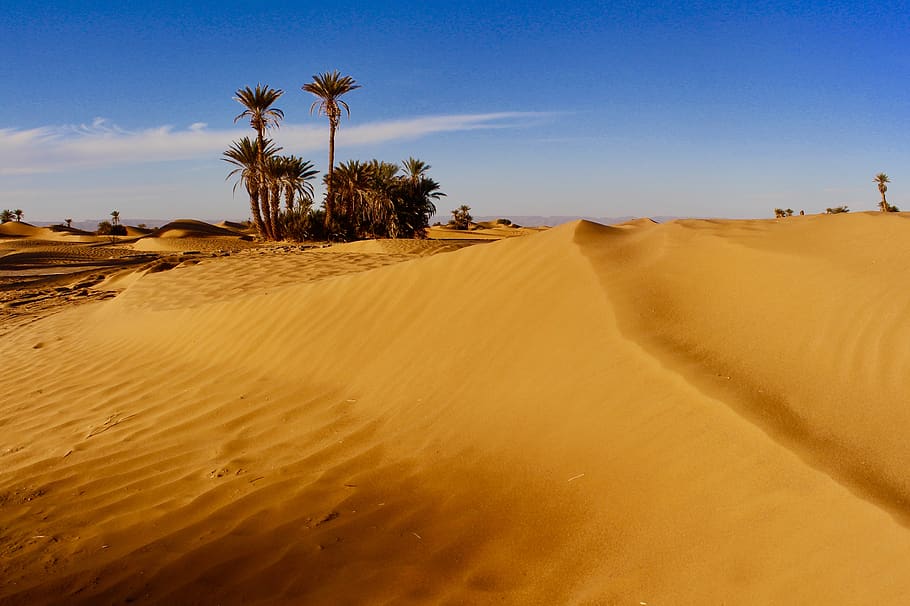desert, sand, cross, africa, atmosphere, hot, drought, nature, dry, landscape