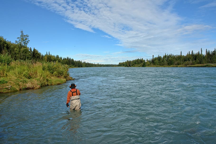 man, walking, body, water, daytime, keani river, alaska, fishing, river, outdoors