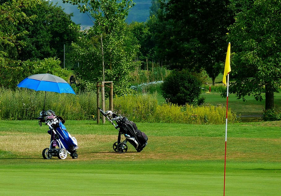 blue, black, golf bag, green, grass field, golf, golf course, compensation, training, sport