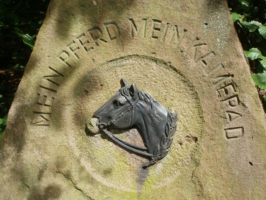 Monumento, Schwetzingen, jardín, parque, antiguo, Alemania, veith, caballo, texto, lápida