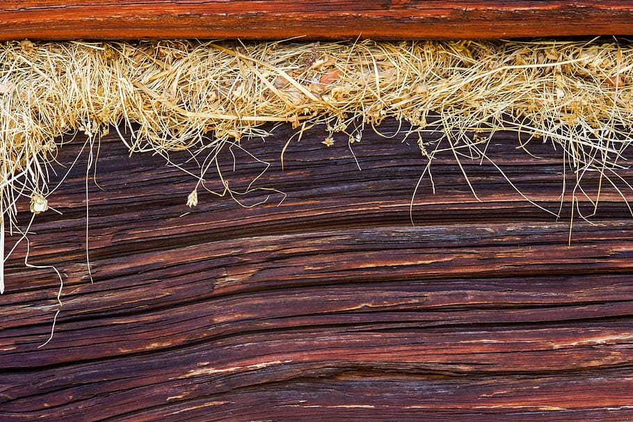 hay, natico, wood, larch, nature, hut, mountains, detail, barn, old