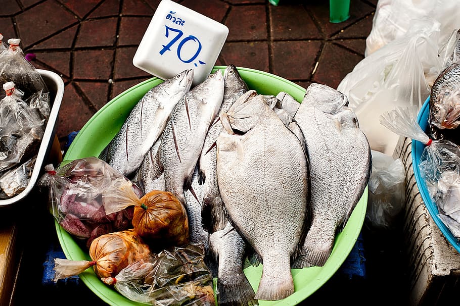 ikan, makanan laut, basah, pasar, label harga, daging, tidak ada orang, eceran, dijual, makanan dan minuman