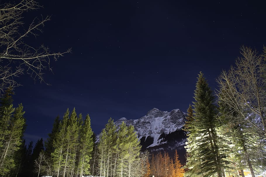 bajo, fotografía de ángulo, pinos, montaña glaciar, Rockies, nieve, cielo nocturno, el cielo nocturno, montaña nevada, montaña de invierno