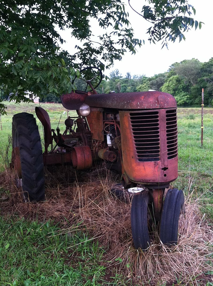rusted tractor, pasture, farm, rural, agriculture, south carolina, plant, land, field, tree
