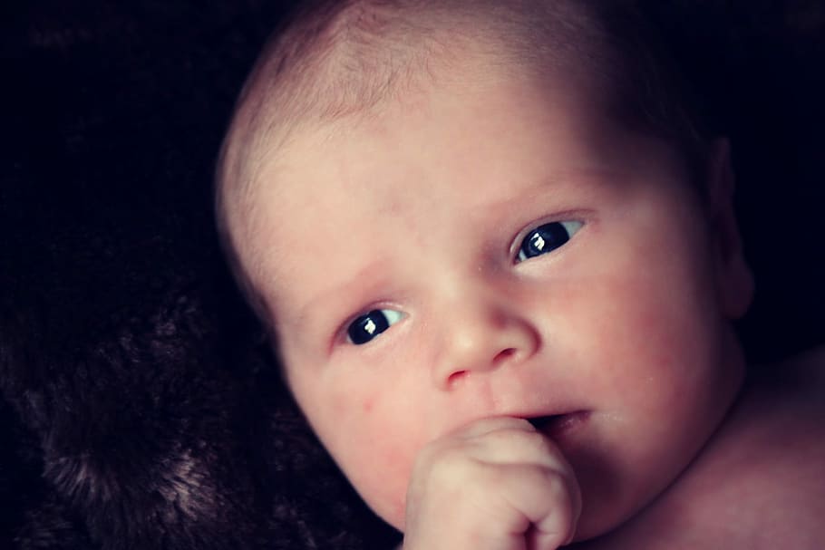 Baby, Face, Sweet, Cute, Hand, Infant, baby, face, small, head, boy