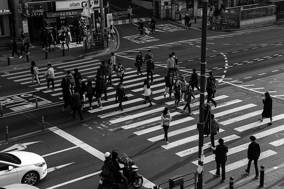 grayscale photography, street, the traffic light, pedestrian crossing, people, crossroads, noryangjin, set, student, crossing