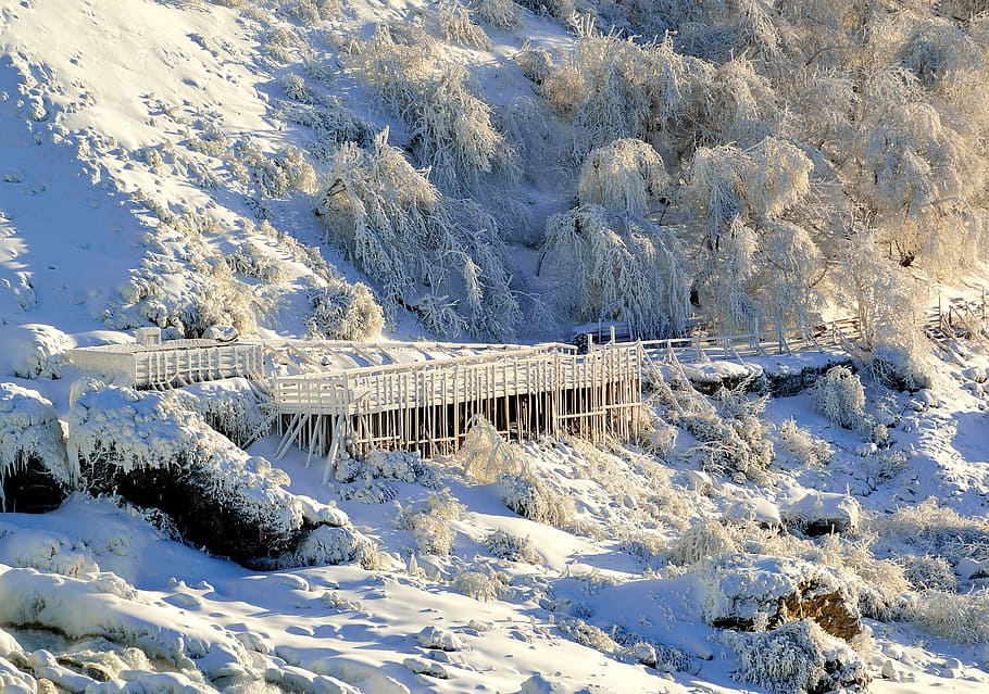 walkway, american falls, niagara, winter, nature, frozen, snow, ice, cold temperature, white color