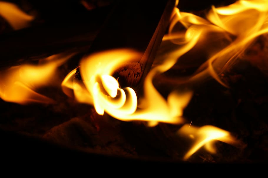 untitled, fire, wood fire, heat, hot, burn, flame, firewood, burning, heat - temperature