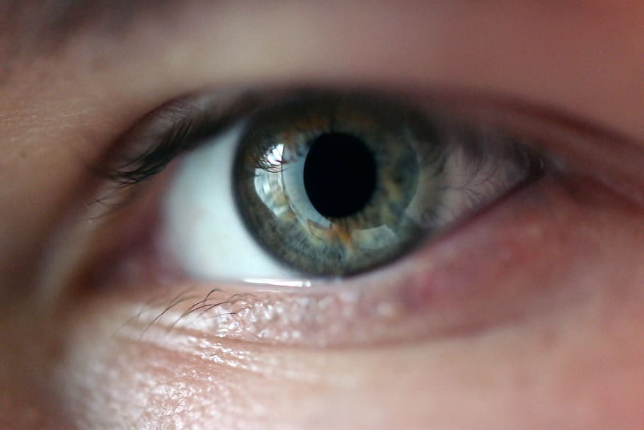 person's eye, eye, macro, iris, skin, eyelash, pupil, human eye, eyesight, sensory perception