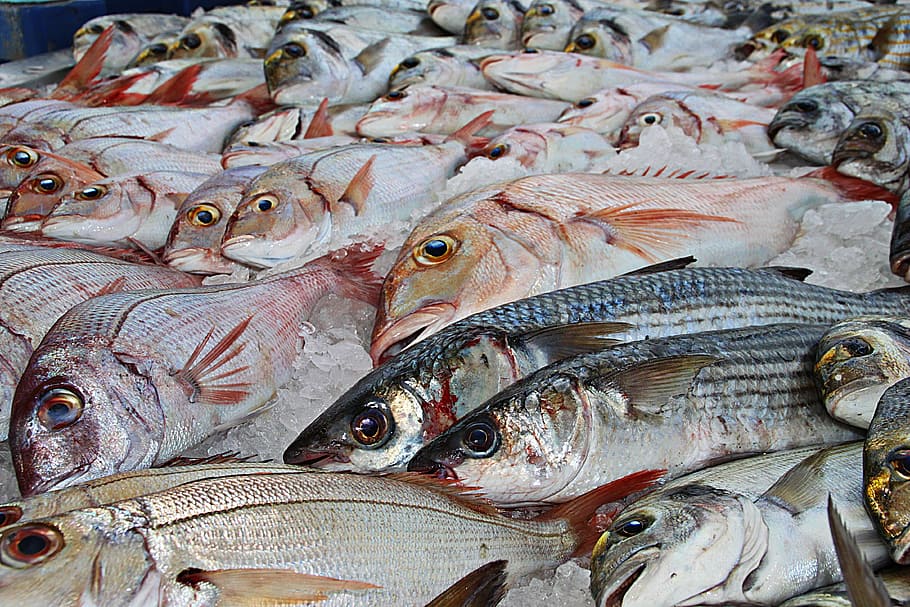 pile, assorted, fish, fishing, traditional fishing, fish market, food, market, docks, fish fillets
