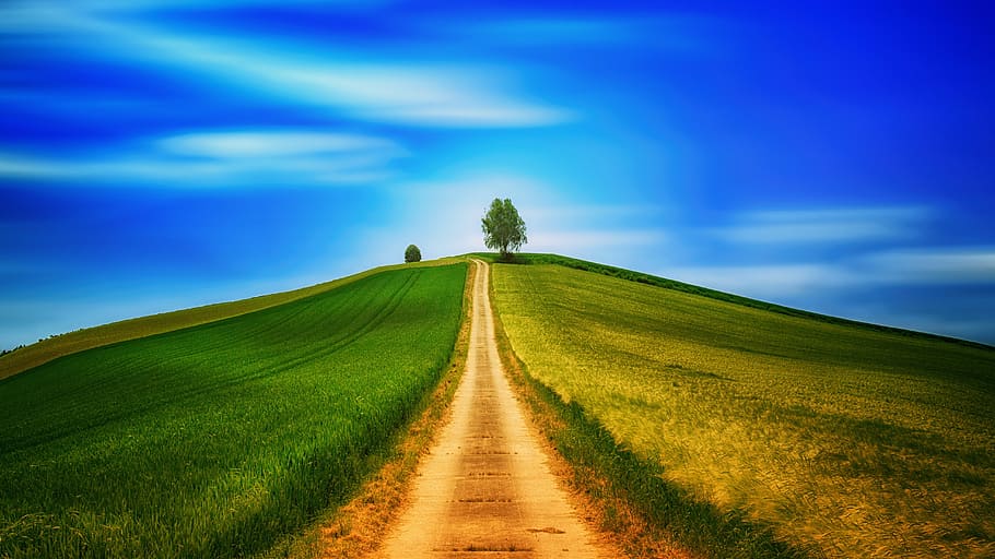 carretera, verde, campo, azul, cielo, lejos, colina, campos, árbol, solitario