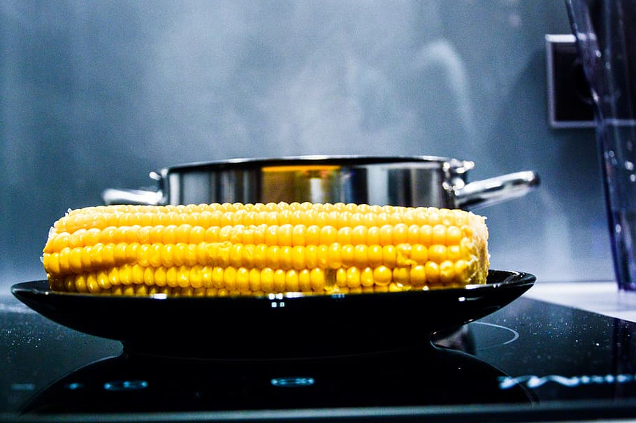 corn, black, plate, cooked, next, stainless, steel, cooking, pot, corn on the cob