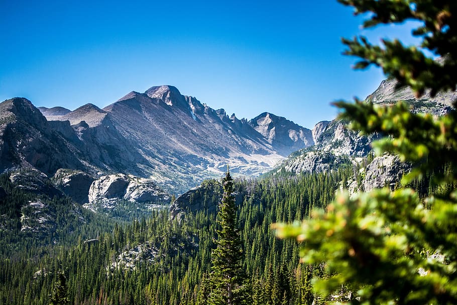rocky, mountains, national, park, Beautiful, Landscape, Rocky Mountains, National Park, Colorado, forest