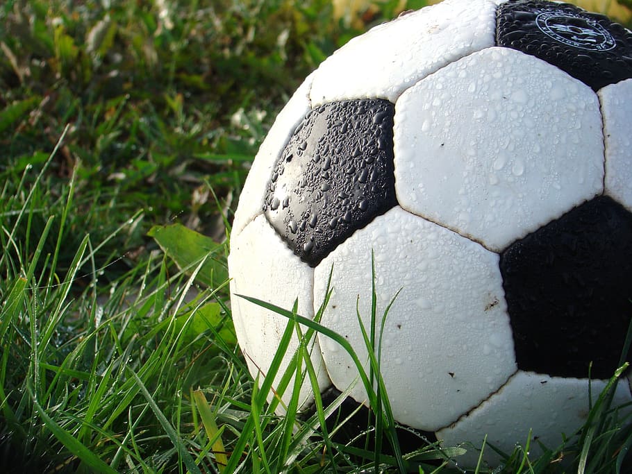 dew, white, soccer ball, green, grass, daytime, soccer, football, sport, ball