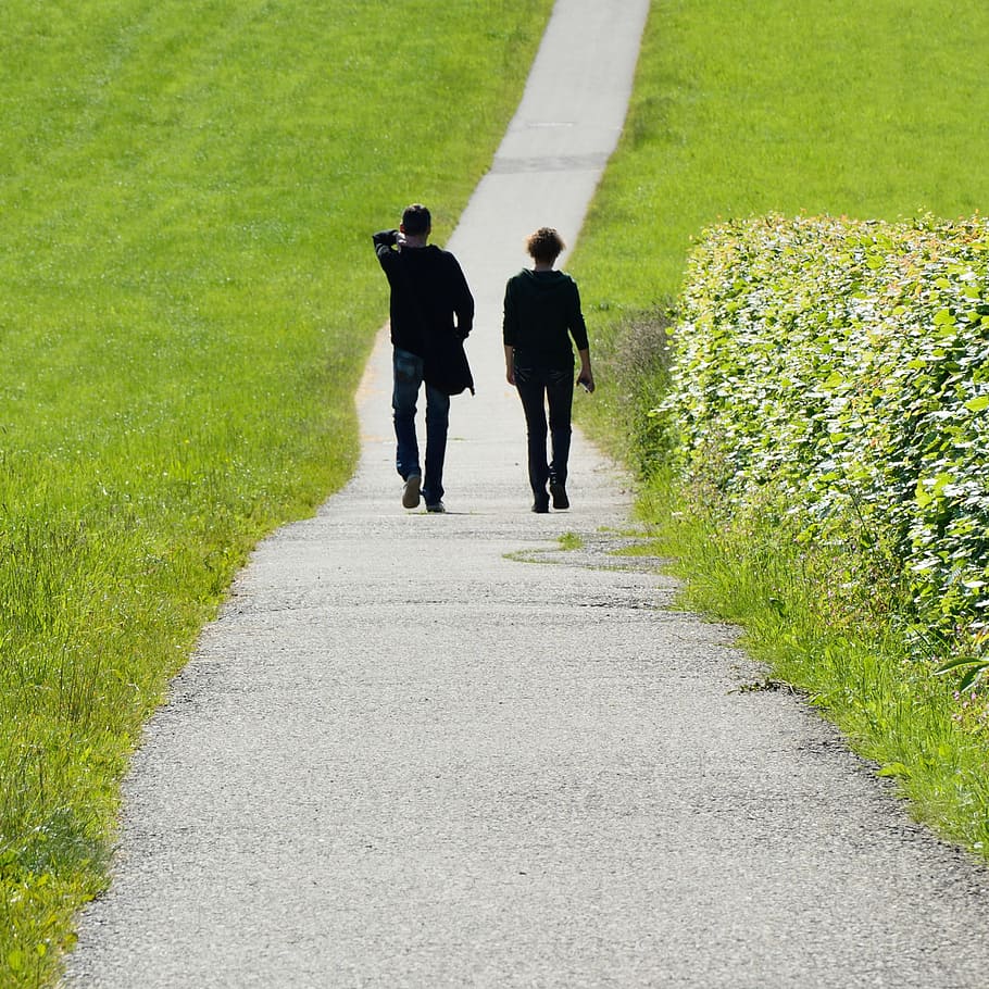 dua, orang, berjalan, jalan, hijau, rumput, pribadi, pasangan, jauh, pria