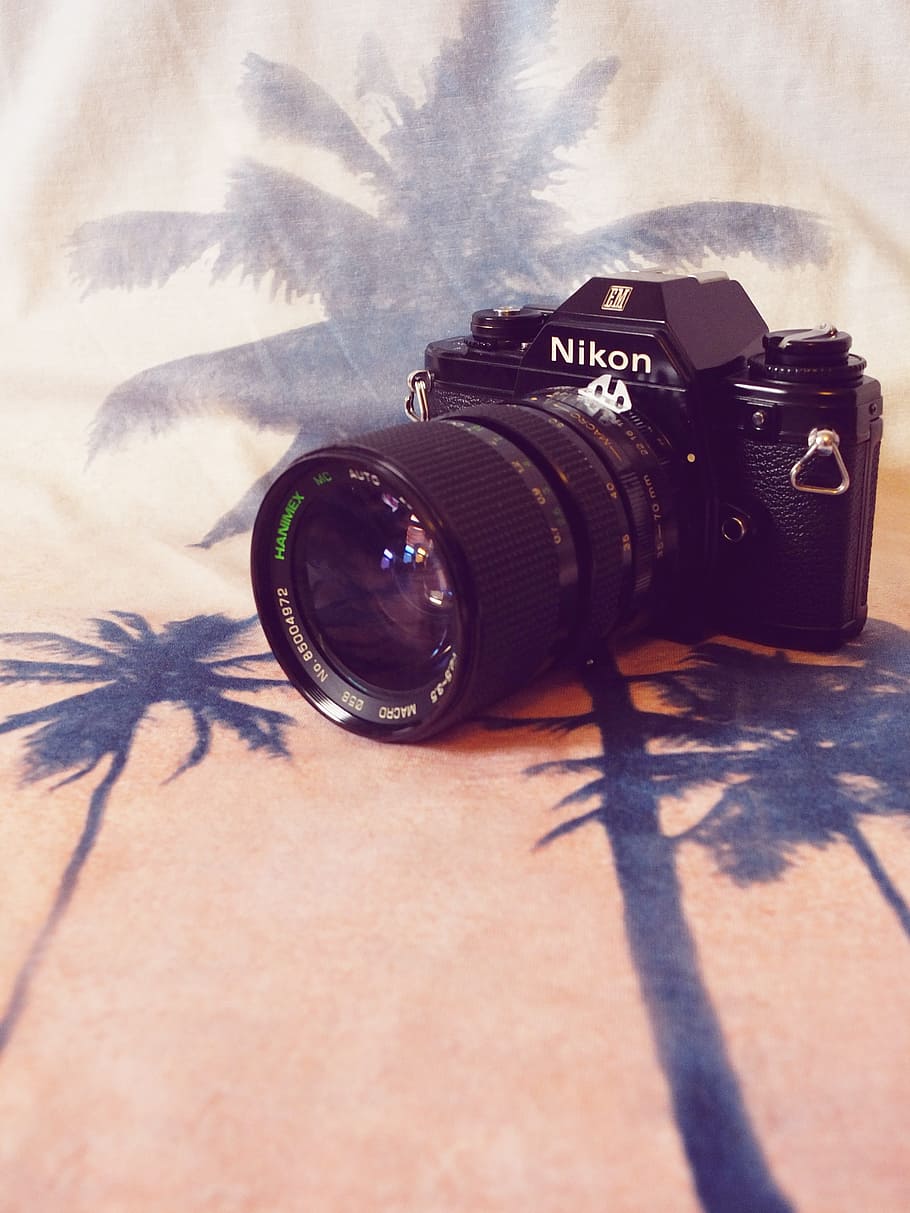 black, nikon camera, white, palm trees, graphic, sheet, Camera, Nikon, Analog, Film