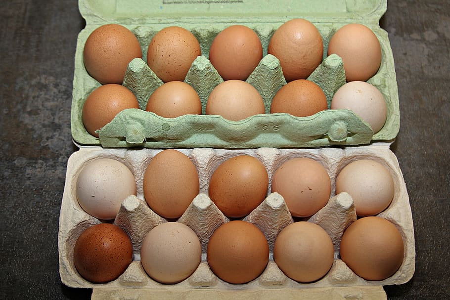 egg, food, eat, protein, easter eggs, yolk, fried, cook, nutrition, bio
