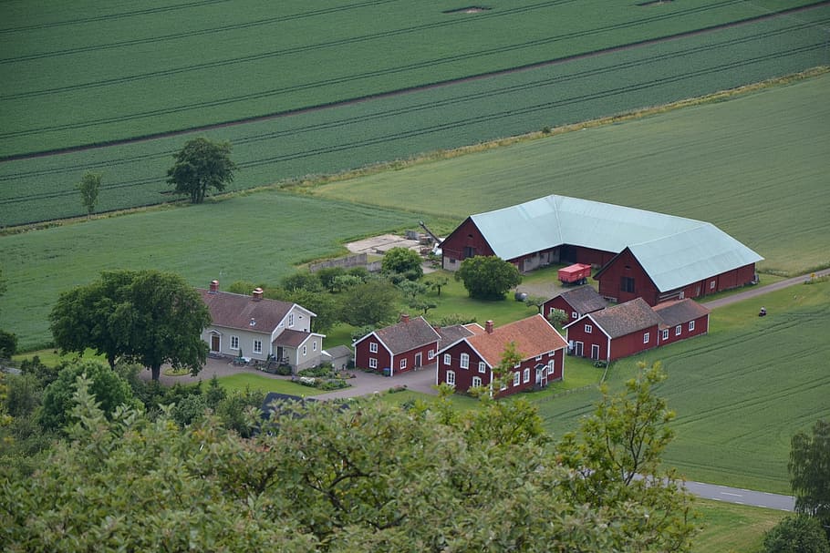 sverige, 스웨덴, 농가, 파노라마, 풍경, 건물, 녹색, 농업, 시골, 건축물