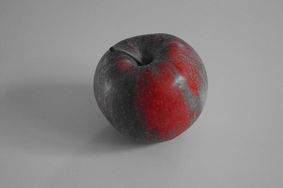 apple, fruit, red, orchard, apples, studio shot, healthy eating, food, food and drink, apple - fruit