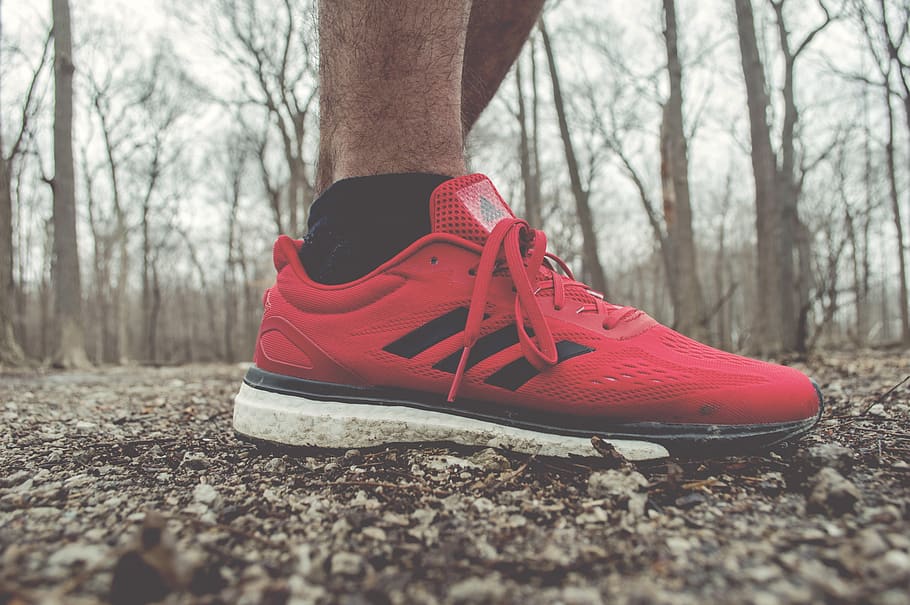red, sneakers, running shoes, footwear, outdoor, shoe, tree, low section, land, nature