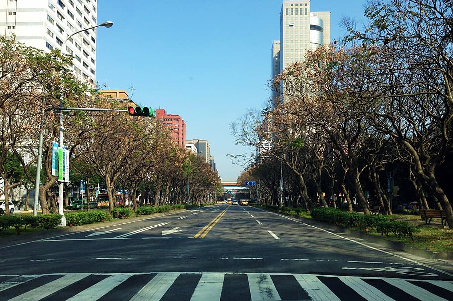 taiwan, taipei, street view, city view, architecture, city, tree, building exterior, the way forward, transportation