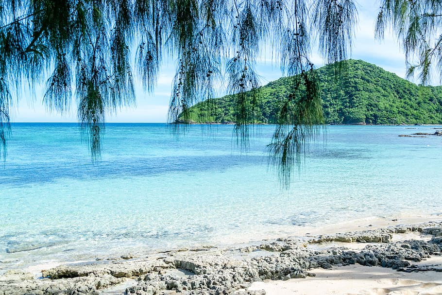 ilha de fiji, ilha, tropical, praia, natureza, pacífico, paraíso, mar, água, azul