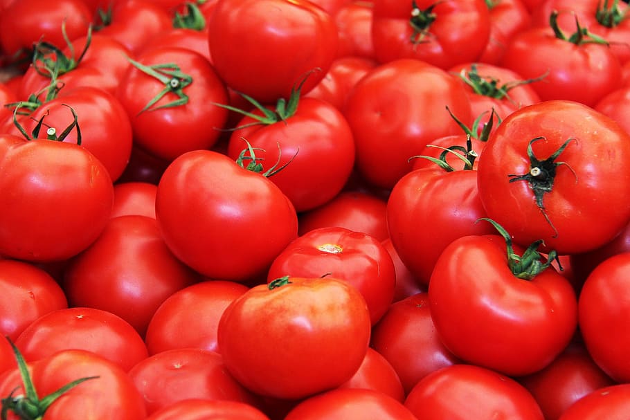 bundel tomat, tomat, buah-buahan, segar, manis, berair, yummy, lezat, memetik, merah