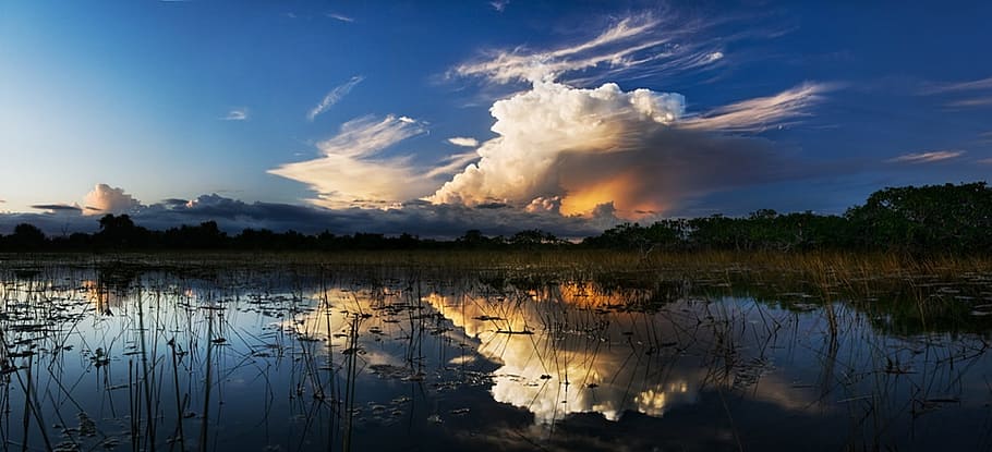lake, daytime, storm clouds, everglades, swamp, marsh, landscape, water, reflection, nature