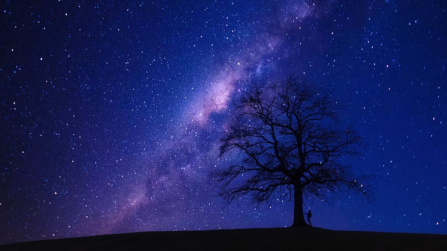 árbol, noche, estrella, galaxia, hombre, vagabundo, paisaje, silueta, naturaleza, panorama
