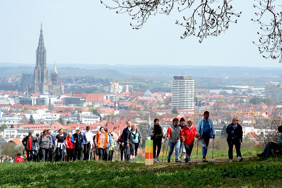 group, people, walking, green, leaf tree, nordic walking, walken, sport, leisure, hiking poles
