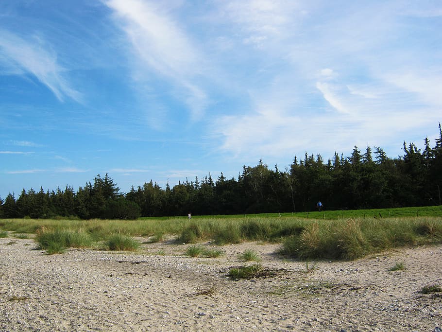 baltic sea, beach, sky, blue, dunes, edge of the woods, coastal landscape, green brink, tranquility, tranquil scene