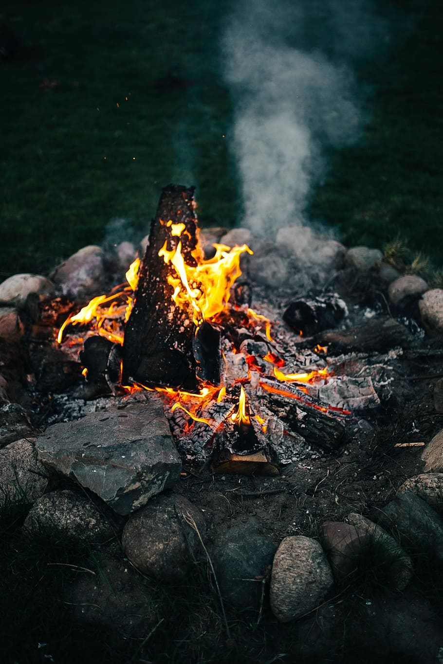 api unggun musim panas, Musim Panas, api unggun, liburan, kamera, outdoor, alam, luar, api, kayu