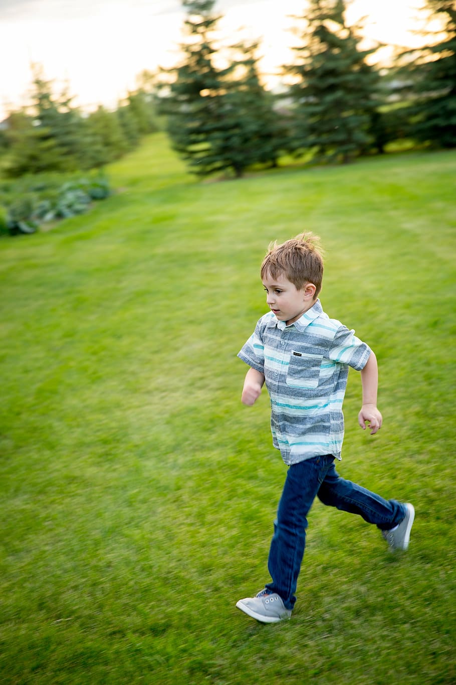 boy, walking, lawn field, daytime, field, playing, kids, running, children, child