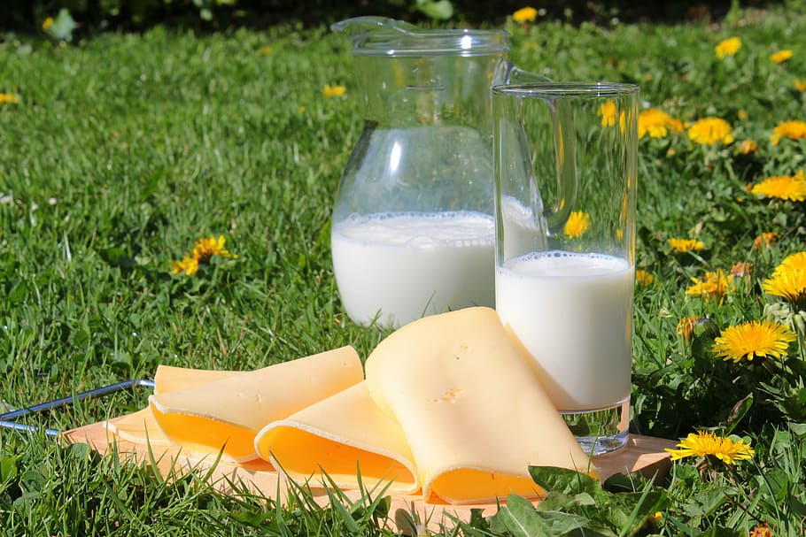 clear, highball glass, glass pitcher, green, grass, daytime, milk, cheese, cheese slices, milk products