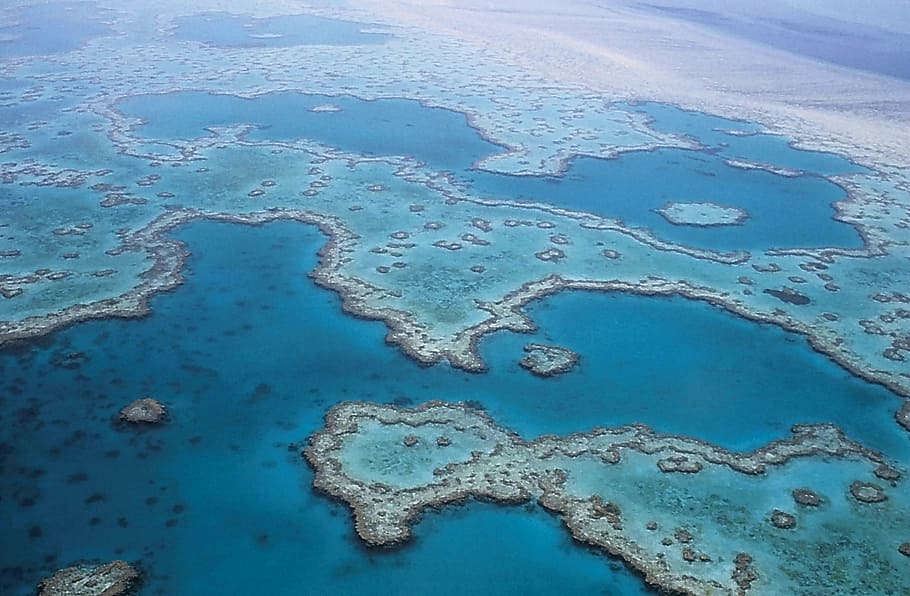 aérea, fotografia, ótimo, azul, buraco, grande barreira de corais, austrália, queensland, oceano, império da ilha